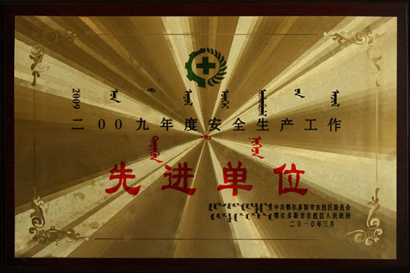2009东胜区安全先进单位