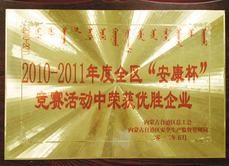 2010自治区优胜企业