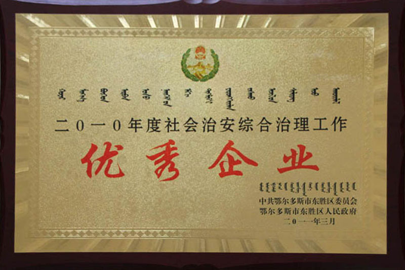 2010东胜区治安优秀企业