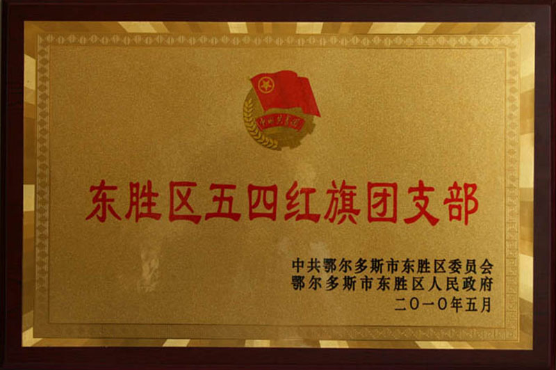 2010东胜区五四红旗团支部