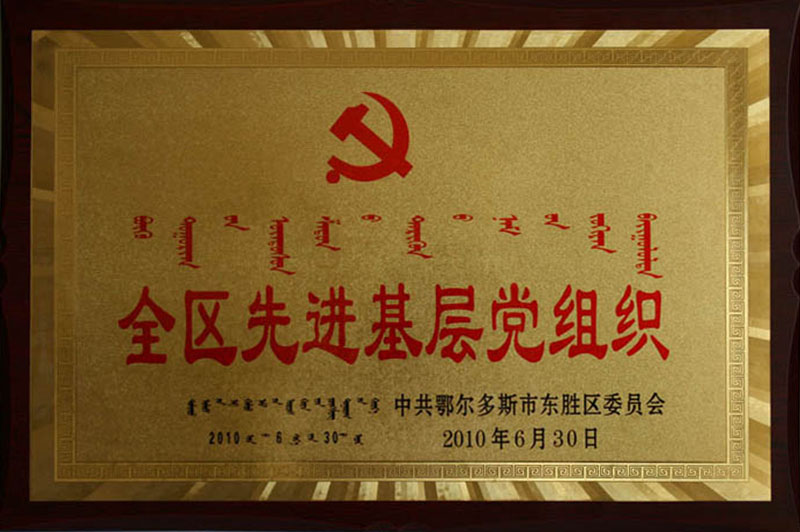 2010东胜区先进基层党组织