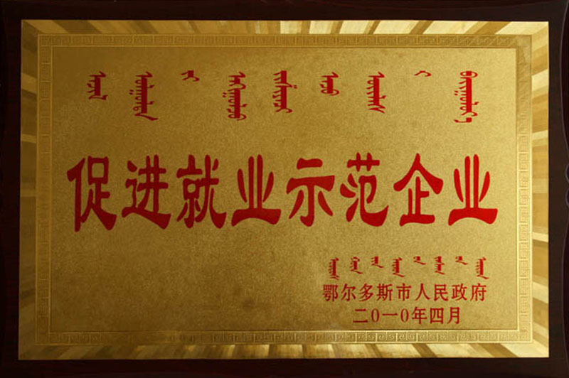 2010鄂市促进就业企业