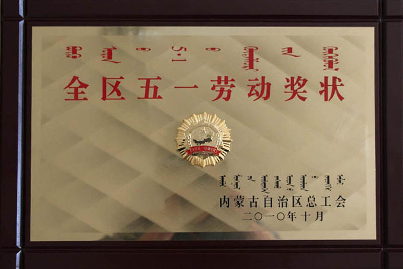 2010自治区五一劳动奖