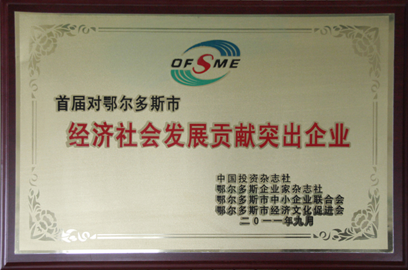 2011鄂市经济发展贡献企业