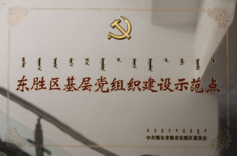 2013东胜区党组织示范点