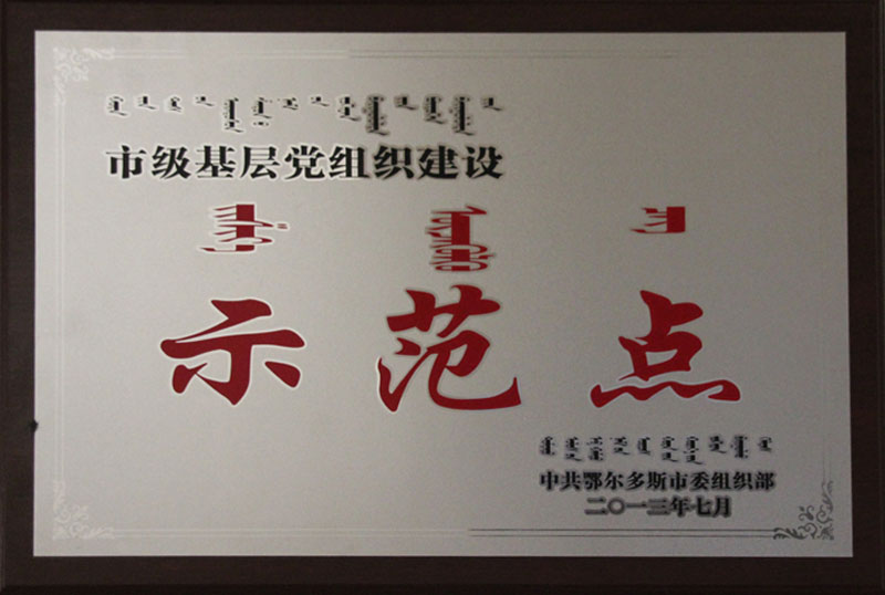 2013鄂市党组织建设示范点