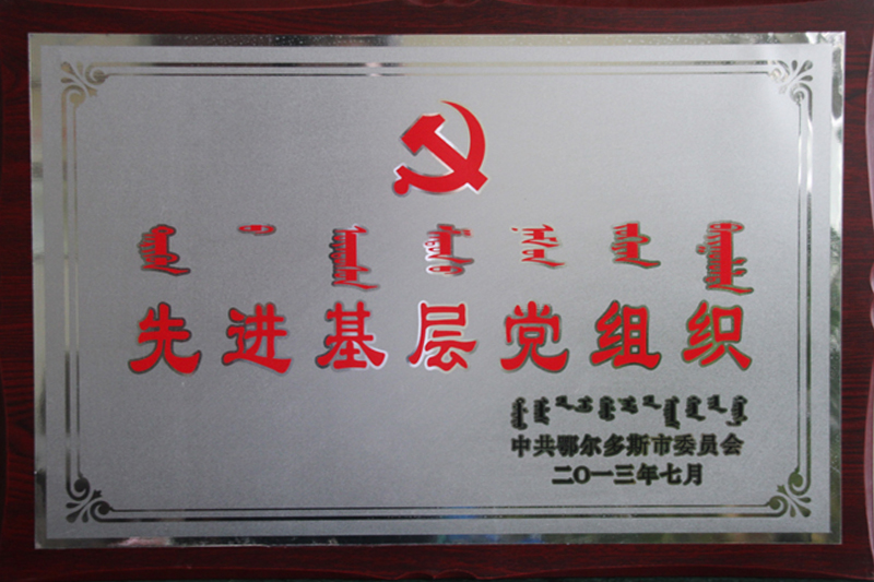 2013鄂市先进基层党组织